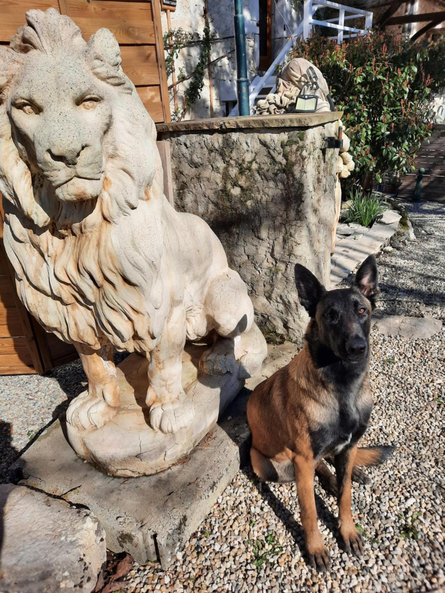 Gite Des 2 Lions Murs-et-Gelignieux Экстерьер фото